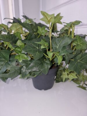 Konstgjord hängande murgröna med mörka blad. Besök Blickfång.se