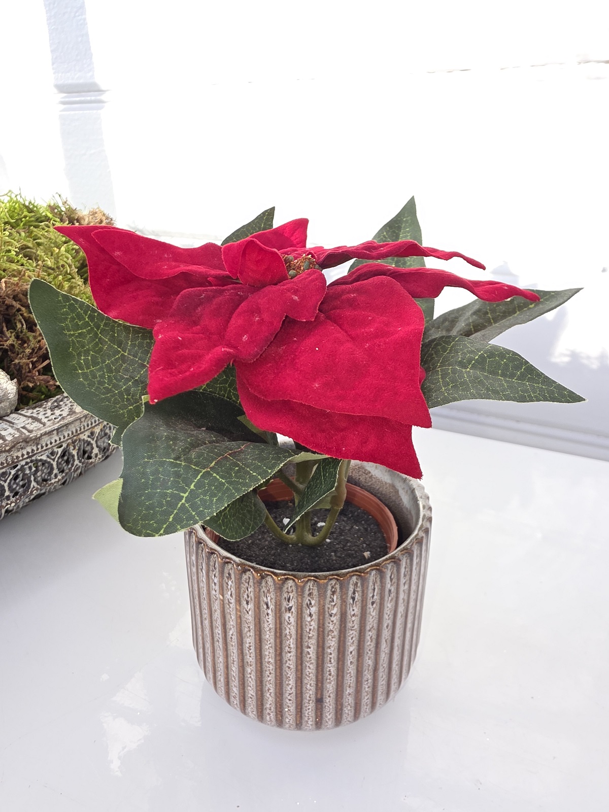 Konstgjord-liten-rod-julstjarna-6