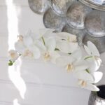 Konstgjord vit orkidéstjälk med stora blommor. Besök Blickfång.se