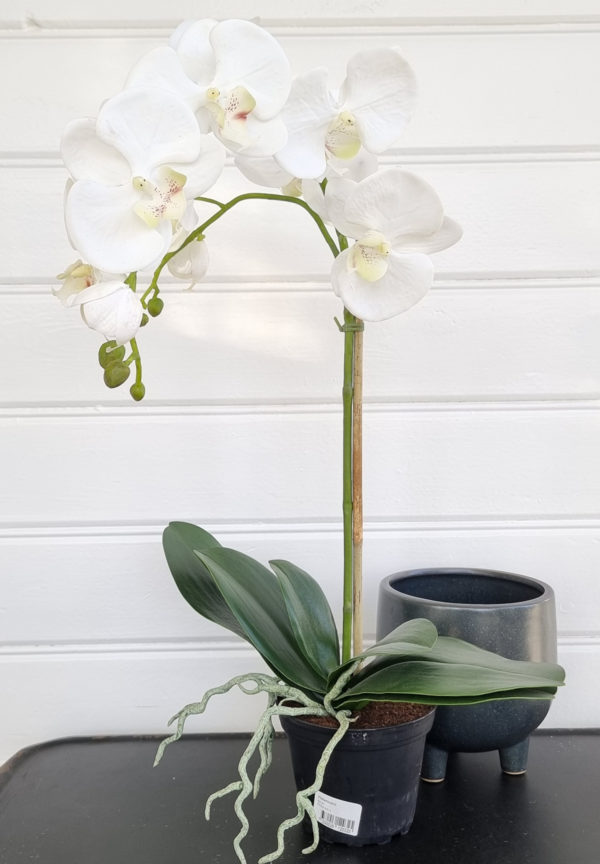 Stor-vit-konstgjord-orkide-1