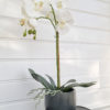 Stor vit konstgjord orkide. Besök blickfång.se