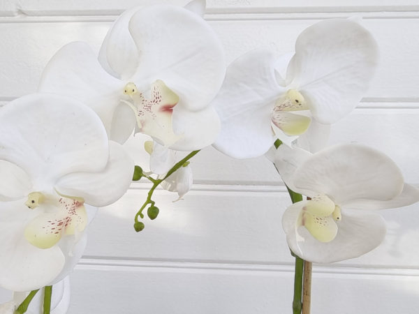 Stor-vit-konstgjord-orkide-2