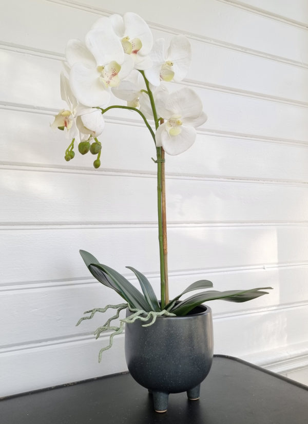 Stor-vit-konstgjord-orkide