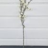 Vit-konstgjord-blomkvist-2