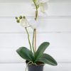 Vit konstgjord orkidé i kruka. Besök Blickfång.se