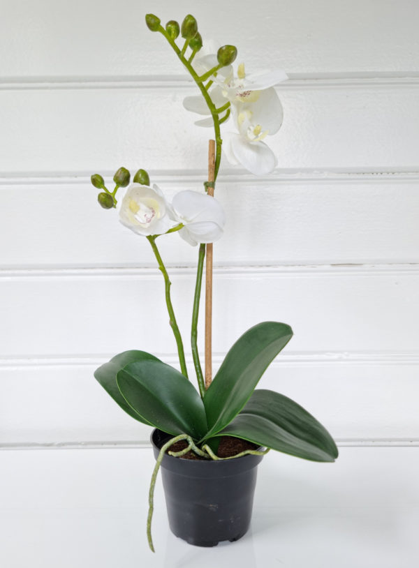 Vit-konstgjord-orkidé-i-kruka