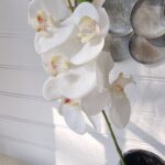 Vit orkidé konstgjord snittblomma. Besök blickfång.se