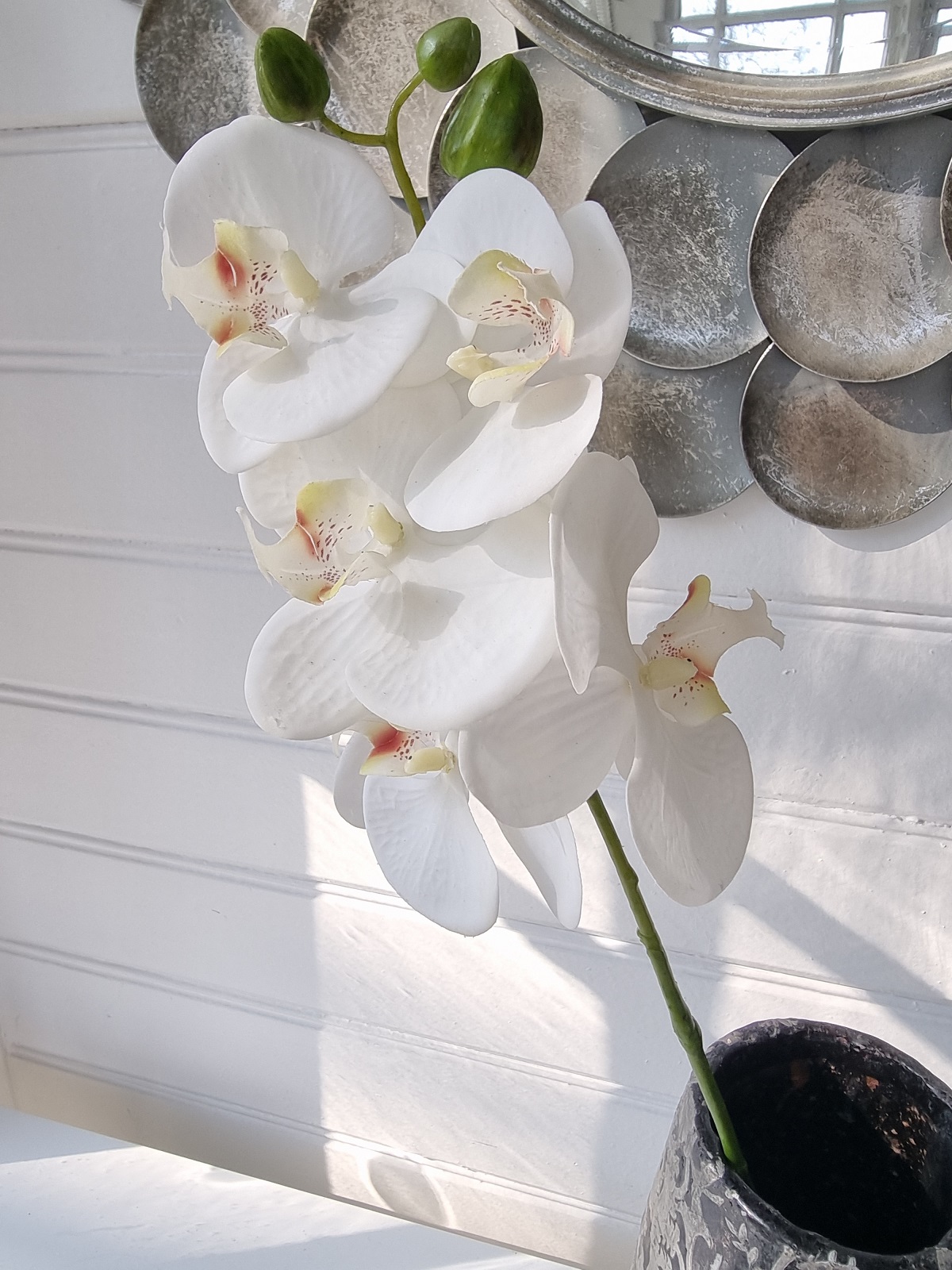 Vit orkidé konstgjord snittblomma. Besök blickfång.se