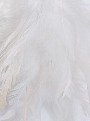 Ballerina med fjäder klänning att hänga. Besök blickfång.se