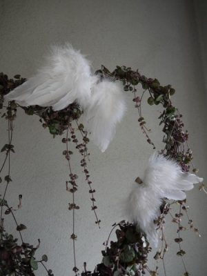 Vita änglavingar fjädrar clips. Besök blickfång.se