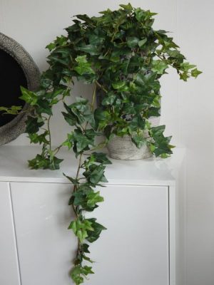 Konstgjord hängande murgröna med mörka blad. Besök Blickfång.se