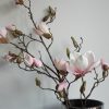 Rosa konstgjord magnolia på stjälk. Besök Blickfång.se