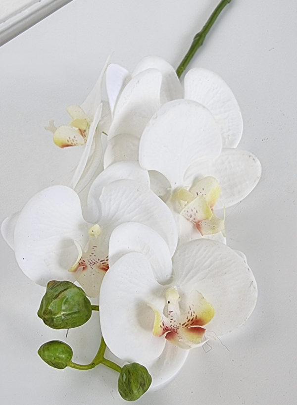 vit-orkidé-konstgjord-snittblomma-1