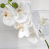 Vit orkidé konstgjord snittblomma. Besök blickfång.se