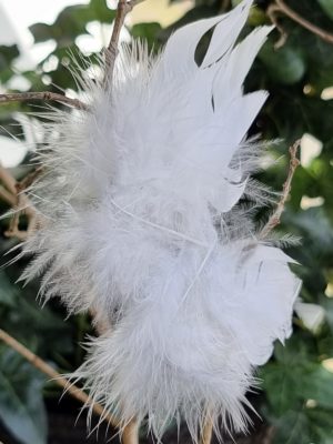 Vita änglavingar fjädrar clips. Besök blickfång.se