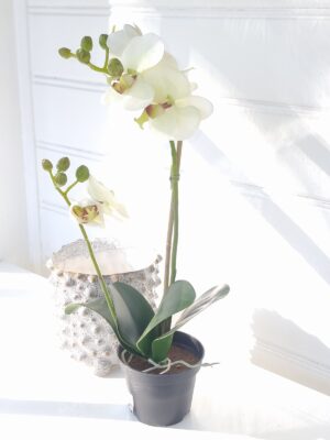 Konstgjord orkidé i kruka. Besök blickfång.se