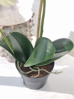 Konstgjord orkidé i kruka. Besök blickfång.se