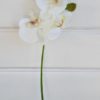 Konstgjord-vit-orkidé-stangel-1