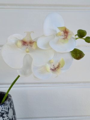Konstgjord vit orkidé stängel. Besök blickfång.se