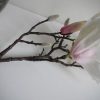 konstgjord-magnolia