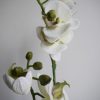 Konstgjord-orkidé-i-kruka-2