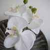 Konstgjord vit orkidé stängel
