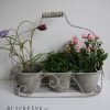 Krukstallning krukor i lantlig stil