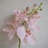 Naturtrogen konstgjord orkide på stjälk