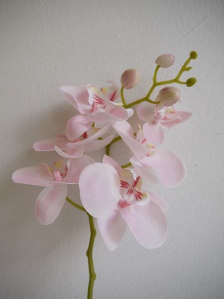 Naturtrogen konstgjord-orkidé-pa-stjalk
