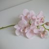 rosa-orkide-snitt