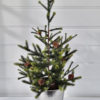 Konstgjord naturtrogen julgran i kruka. Besök Blickfång.se
