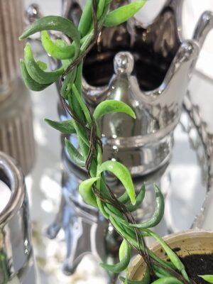 Senecio konstgjord grön växt på båge. Besök blickfång.se