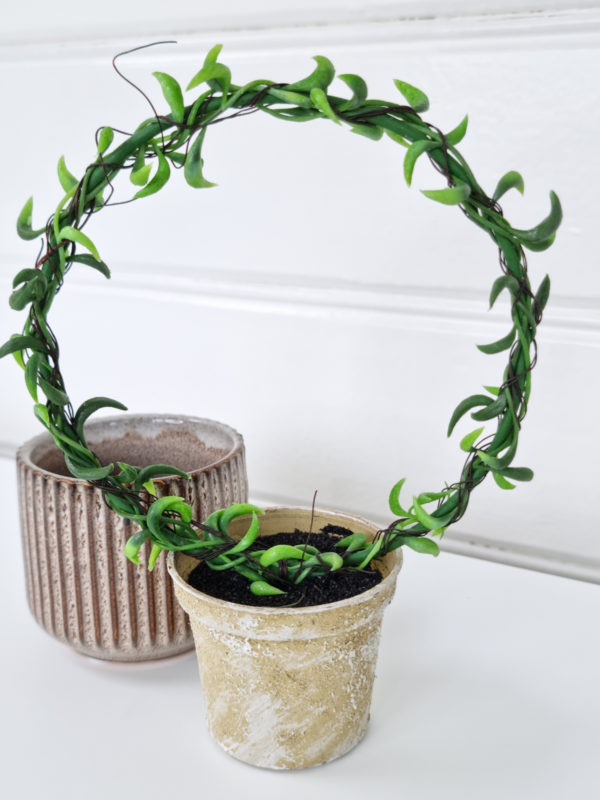 Senecio-konstgjord-gron vaxt-pa-bage-1