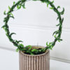 Senecio-konstgjord-gron vaxt-pa-bage