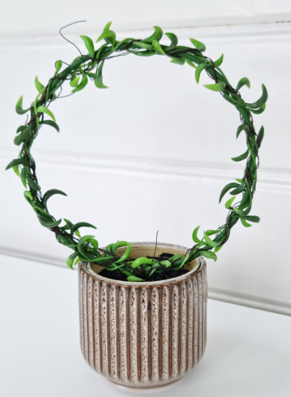 Senecio-konstgjord-gron vaxt-pa-bage