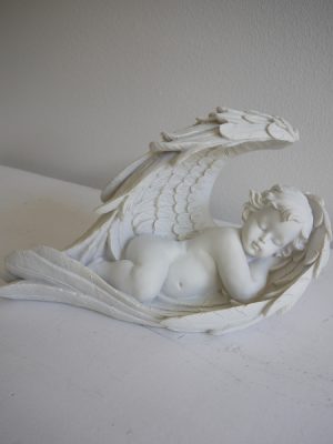 Sovande angel i vinge