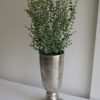 Konstgjord-eucalyptus-gron-vaxt