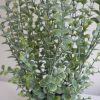 Konstgjord-eucalyptus-gron-vaxt-2