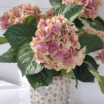 Gammalrosa konstgjord hortensia i innerkruka