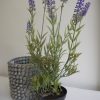 P1330230-konstgjord-lavendel
