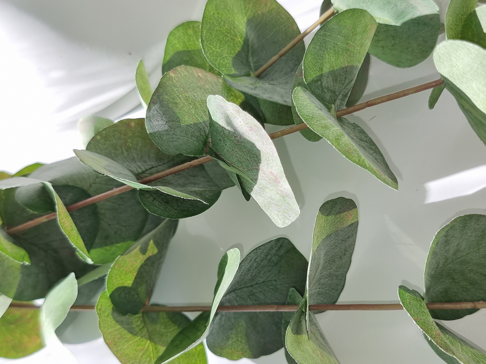 Konstgjord-eucalyptus-kvist-3