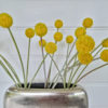 Konstgjord-gul-craspedia-blomma-1