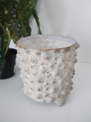 Vit knottrig kruka lava