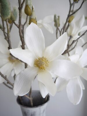 Konstgjord vit magnolia på stjälk. Besök Blickfång.se