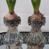 Hyacintvas i glas med spetskant. Besök Blickfång.se