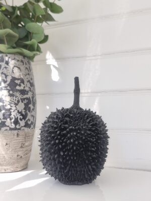 Jackfrukt svart frukt för dekoration. Besök blickfång.se
