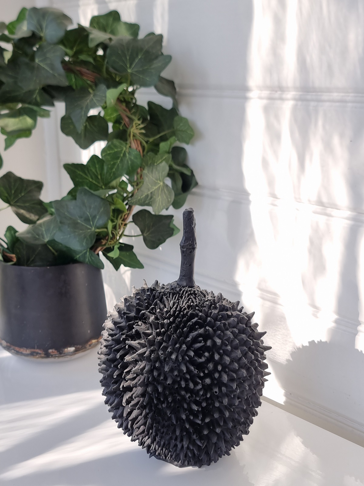 Jackfrukt svart frukt för dekoration. Besök blickfång.se
