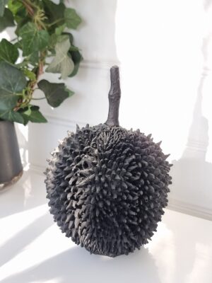 Jackfrukt svart frukt för dekoration. Besök blickfång.se