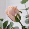 Rosa-konstgjord-ros-2