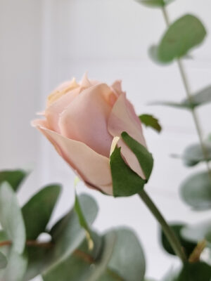 Rosa konstgjord ros. Besök Blickfång.se